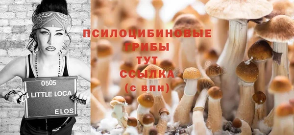 бошки Алзамай