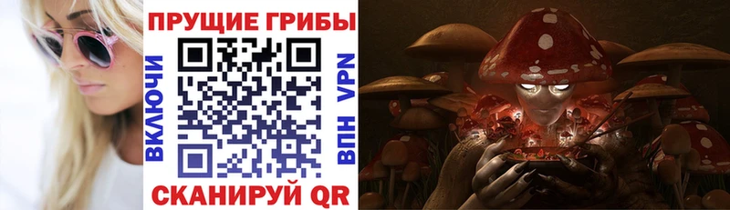 что такое   Солигалич  Псилоцибиновые грибы мицелий 